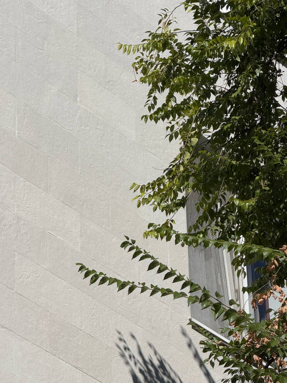 Pletaflex flexible panels — five-storey building in Botanika — 1
